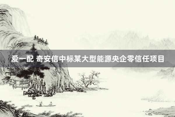 爱一配 奇安信中标某大型能源央企零信任项目