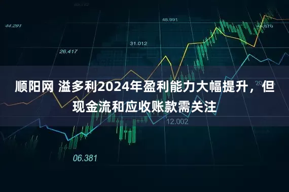 顺阳网 溢多利2024年盈利能力大幅提升，但现金流和应收账款需关注