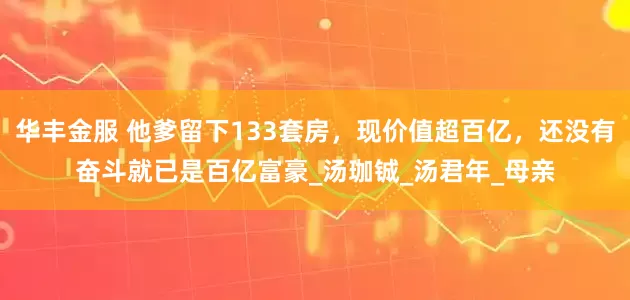 华丰金服 他爹留下133套房，现价值超百亿，还没有奋斗就已是百亿富豪_汤珈铖_汤君年_母亲