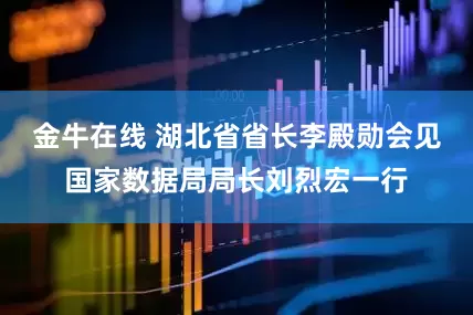 金牛在线 湖北省省长李殿勋会见国家数据局局长刘烈宏一行