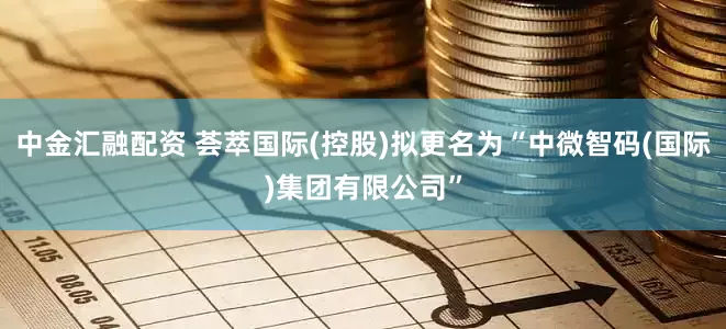 中金汇融配资 荟萃国际(控股)拟更名为“中微智码(国际)集团有限公司”