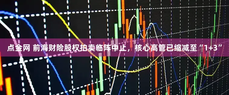 点金网 前海财险股权拍卖临阵中止，核心高管已缩减至“1+3”