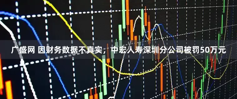 广盛网 因财务数据不真实，中宏人寿深圳分公司被罚50万元