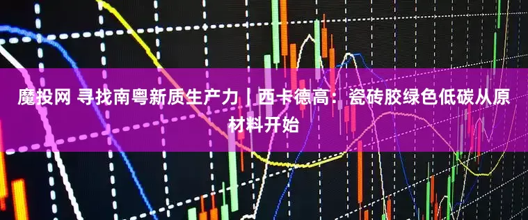 魔投网 寻找南粤新质生产力｜西卡德高：瓷砖胶绿色低碳从原材料开始
