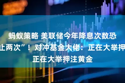 蚂蚁策略 美联储今年降息次数恐“远不止两次”！对冲基金大佬：正在大举押注黄金
